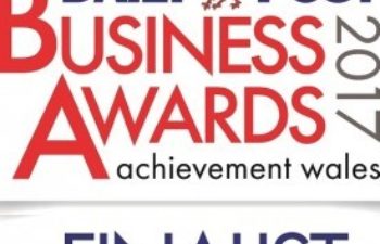Daily Post Business Awards 2017