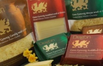 Dragon Brand Goes to Gulfod
