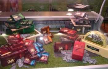 Dragon Brand International Success