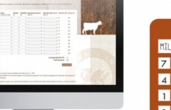 Milk Price Calculator